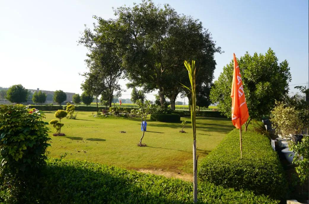 Authority Plots Near Patanjali Industrial Park – Invest Smart with Maxpine Group